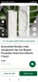 Rosenthal ваза бисквитен порцелан , снимка 4