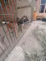 Белгийска овчарка , снимка 1