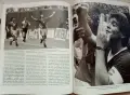 L'Europeo - Светът е футбол, снимка 7