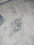 Задни прожини за Хонда хрв, снимка 1