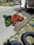 MOTOBLOK PASQUALI - 15 KONQ BENZIN , снимка 2