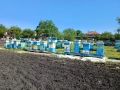 пчелни семейства със кошерите, снимка 3