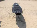 Jet Fly 08 110 cc, снимка 2