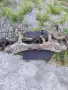 Части за Volvo Xc60 D3 -2010г, снимка 10