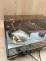 Technics SL-1200 LTD Gold Edition, снимка 9