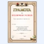 6743 Универсална ученическа грамота за отличен успех, А4 формат, снимка 2