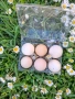 яйцата от фамилна ферма., снимка 1