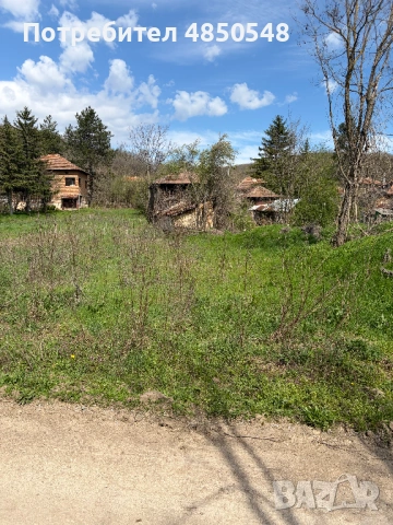парцел със стара къща в с. Синаговци, Видинско, снимка 3 - Парцели - 54818484