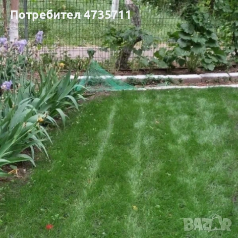 Подложка с тревни семена, биоразградима текстилна подложка, подрязваща се, наторена, снимка 9 - Други стоки за дома - 54089153