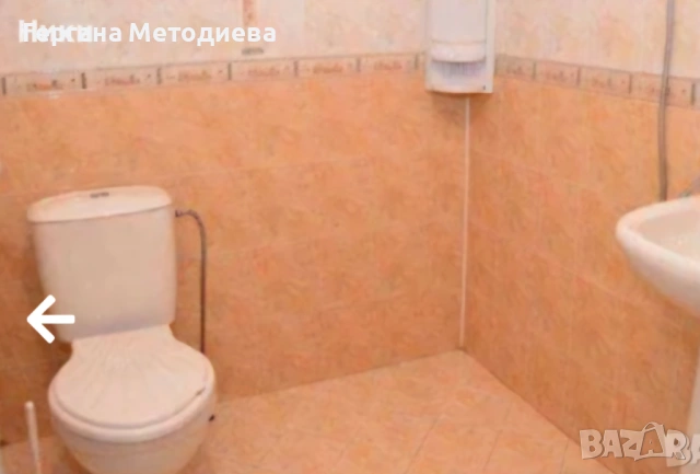 Стая под наем, снимка 4 - Стаи под наем - 54554841