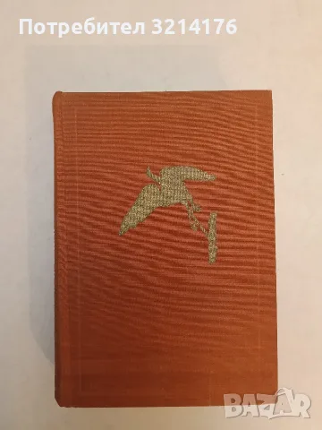 За живите и мъртвите души - Алексей Новиков (Отлично състояние), снимка 4 - Художествена литература - 55537384