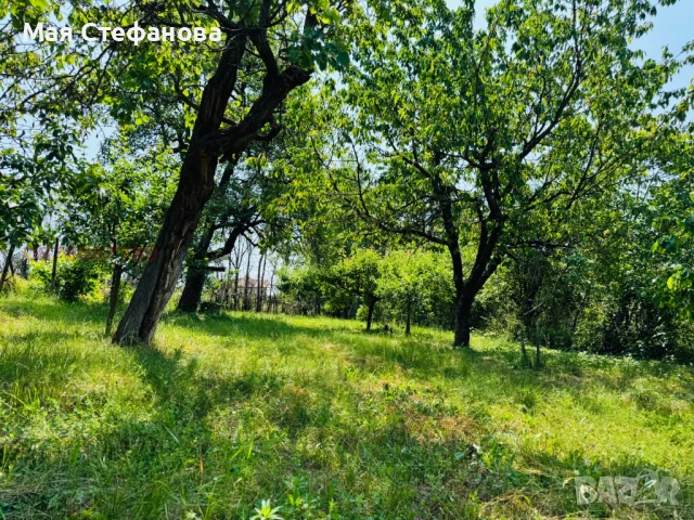 Продава КЪЩА , снимка 5 - Вили - 54423595