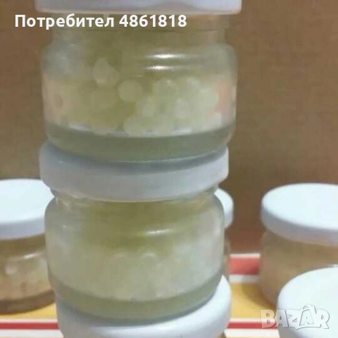 Месо от охлюви Хеликс Асперса Максима , снимка 3 - Други животни - 54974879