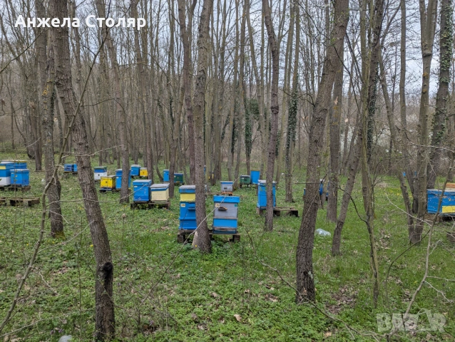 Продава се напълно оборудван пчелин, снимка 2 - За пчели - 54099773