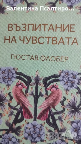Възпитание на чувствата 