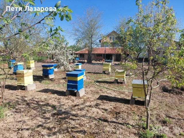 Продавам дворно място , снимка 5 - Къщи - 55390939