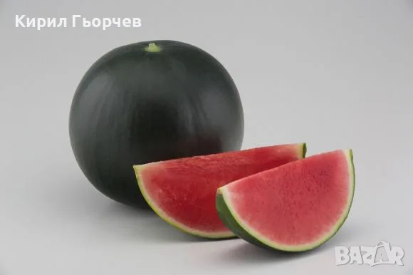 Диня на едро - 0,14€/кг