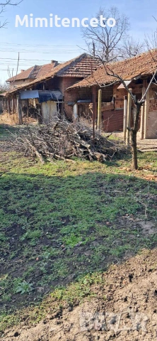 Продавам къща в с. Овча могила, общ. Свищов , снимка 9 - Къщи - 55213203