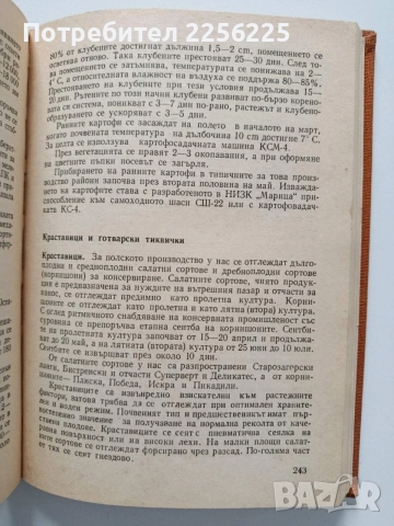 Справочник по зеленчуко - производство, снимка 5 - Специализирана литература - 54763472