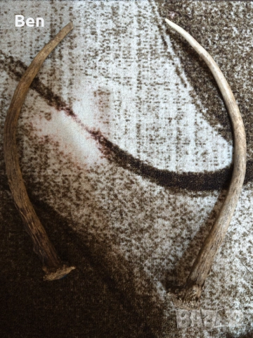 Рога от сръндак и шилар , снимка 2 - Ножове - 54370810