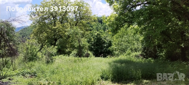 ПАРЦЕЛ В РЕГУЛАЦИЯ С КАРАВАНА, снимка 6 - Парцели - 55092370