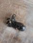 Заден обтегач Shimano 4, снимка 1