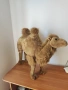 Плюшени играчки камила 🐫, снимка 2