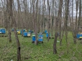 Продава се напълно оборудван пчелин, снимка 2