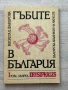 Гъбите в България| 1 том| Виолета Факирова| БАН, снимка 1