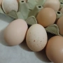 домашни яйца , снимка 2