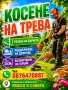 Косене на трева.Рязане на дървета.Ямбол и Сливен, снимка 4
