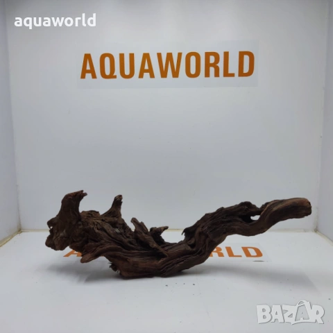 Мангров корен 2