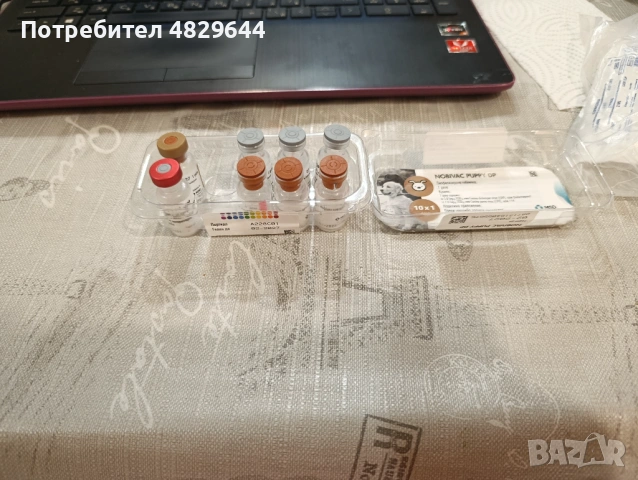 Подарявам кученца, снимка 12 - Други - 54575826