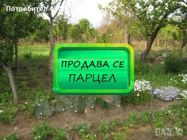 Парцел с постройка и вода в местност Арменски Лозя, снимка 3 - Парцели - 55607548
