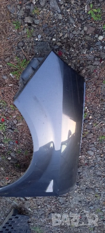 Ляв калник Renault Scenic II, снимка 3 - Части - 54096511