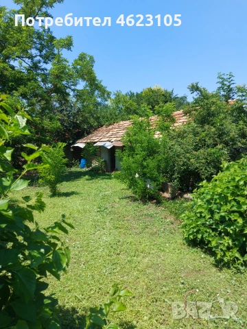 Къща с дворно място и лозе, снимка 2 - Къщи - 54962625