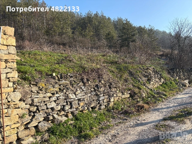 Парцел гр.Дебелец с панорамна гледка до борова гора в регулация, снимка 6 - Парцели - 54481246
