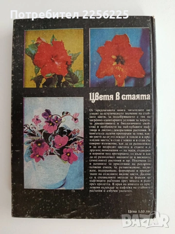 Цветята в стаята, снимка 6 - Специализирана литература - 54882092
