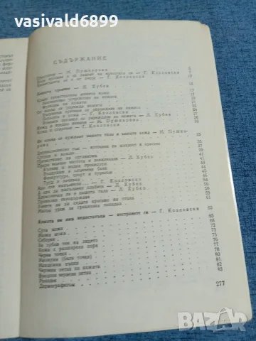 "Красива всеки ден, снимка 6 - Специализирана литература - 55629355