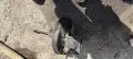 Серво спирачна помпа 13 142 362 Opel Astra H 1.9CDTI - 120к.с. Z19DTJ комби , снимка 1