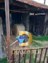 Къща в село Ябълково, общ. Димитровград, снимка 12