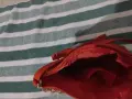 👜 Елегантна дамска чанта AVON – НОВА – свеж червен цвят, снимка 7