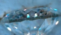 Диамант, Moissanite 100 faceted cut, със сертификат, гравиран номер на камъка - 35 евро - 1 карат, снимка 13