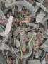 Сушен липов цвят, снимка 3