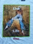 Тениски DIESEL, Levi's, CONVERSE - размер L/XL/XXL, снимка 4