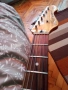 Vintage V6 reissued series, снимка 3