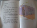 Книга "Малкият принц - Антоан дьо Сент Екзюпери" - 88 стр., снимка 5