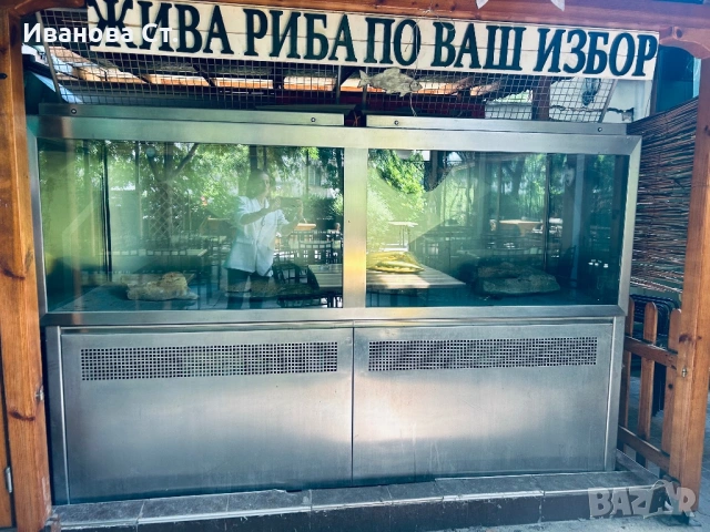 Професионален аквариум