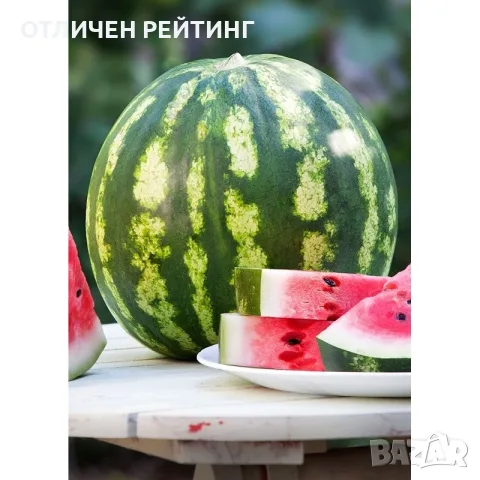 Диня на едро - 0.10€ от Производител, Кримсон Суит, снимка 3 - Други - 55624134