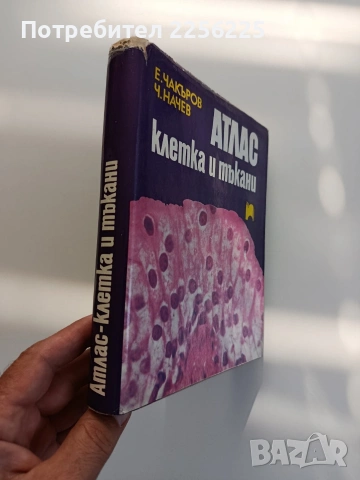 Атлас - Клетка и тъкани, снимка 6 - Специализирана литература - 55178845